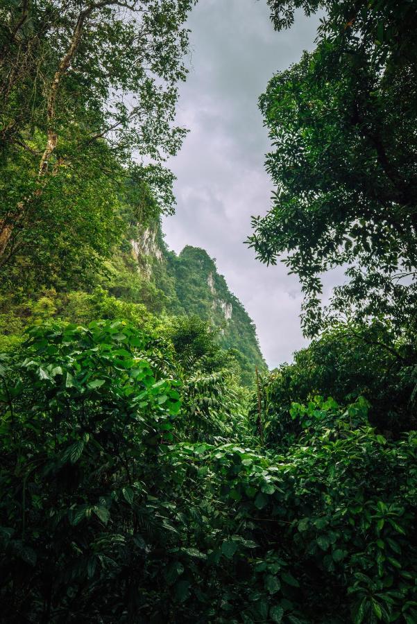 Our Jungle House Hotel Khao Sok National Park Ngoại thất bức ảnh