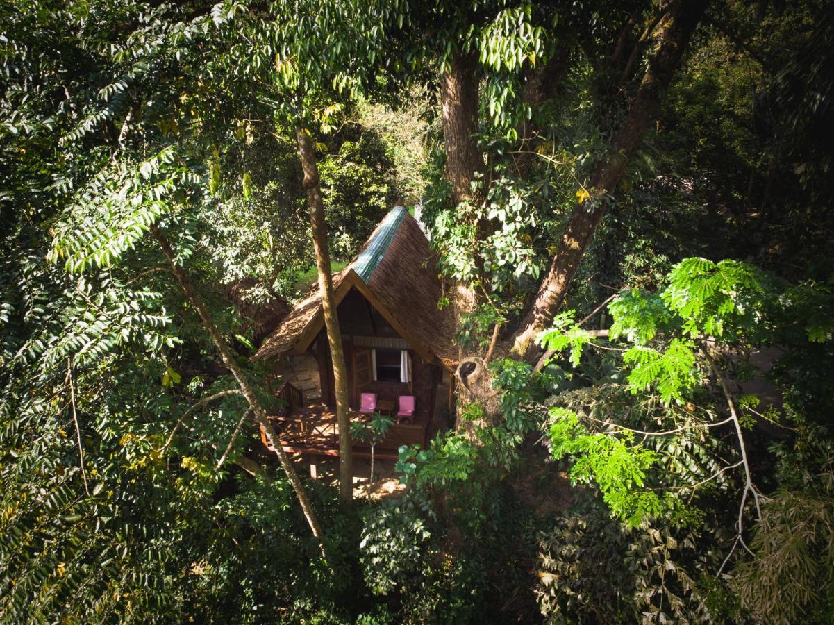 Our Jungle House Hotel Khao Sok National Park Ngoại thất bức ảnh