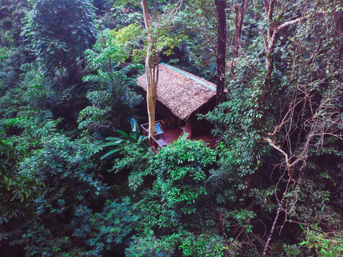 Our Jungle House Hotel Khao Sok National Park Ngoại thất bức ảnh