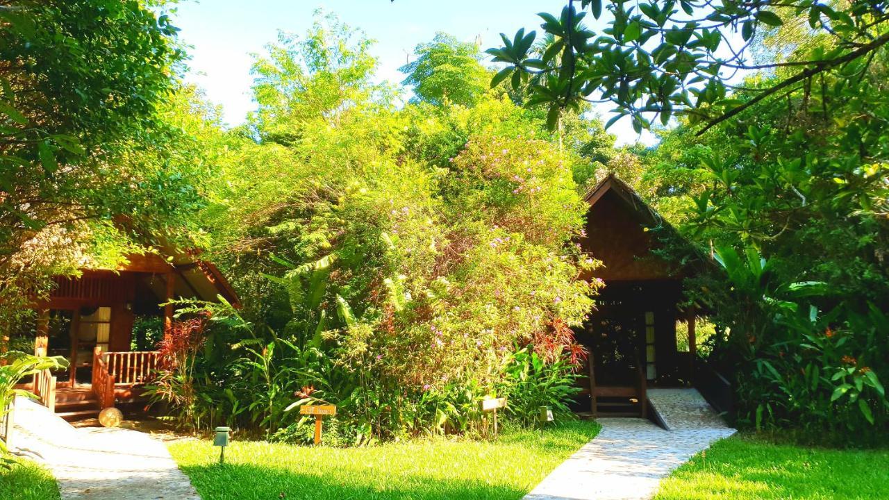 Our Jungle House Hotel Khao Sok National Park Ngoại thất bức ảnh