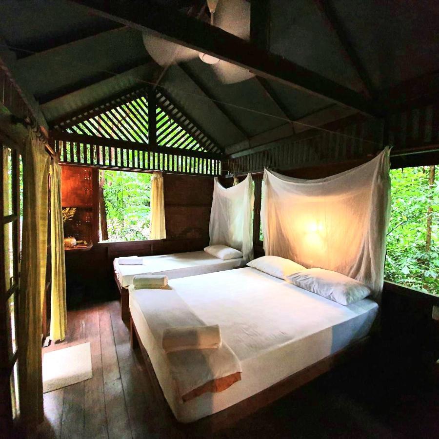Our Jungle House Hotel Khao Sok National Park Ngoại thất bức ảnh