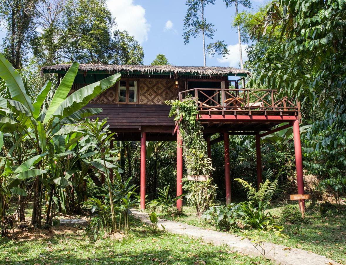 Our Jungle House Hotel Khao Sok National Park Ngoại thất bức ảnh